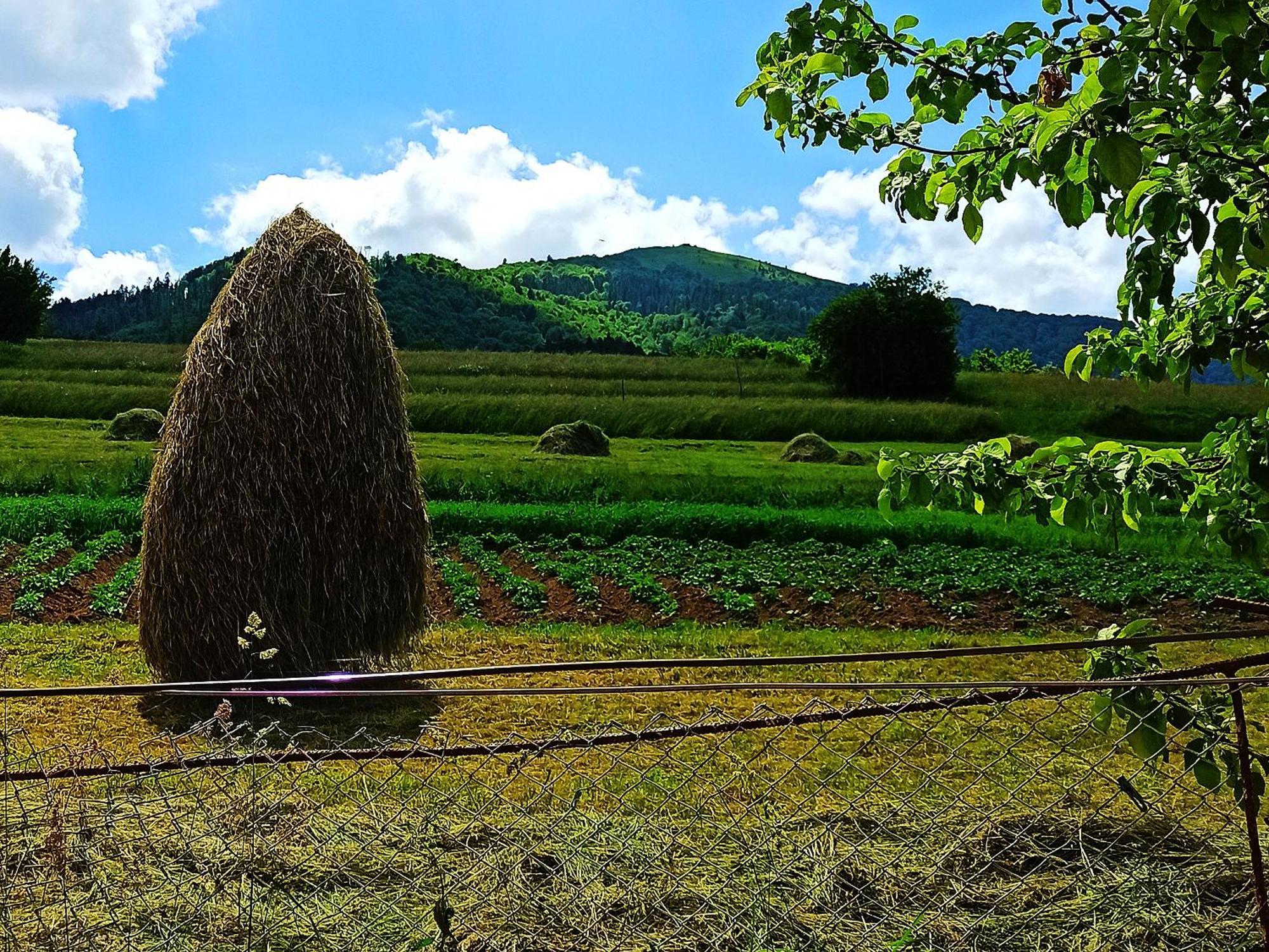 Садиба" У Василя" Volovets Extérieur photo