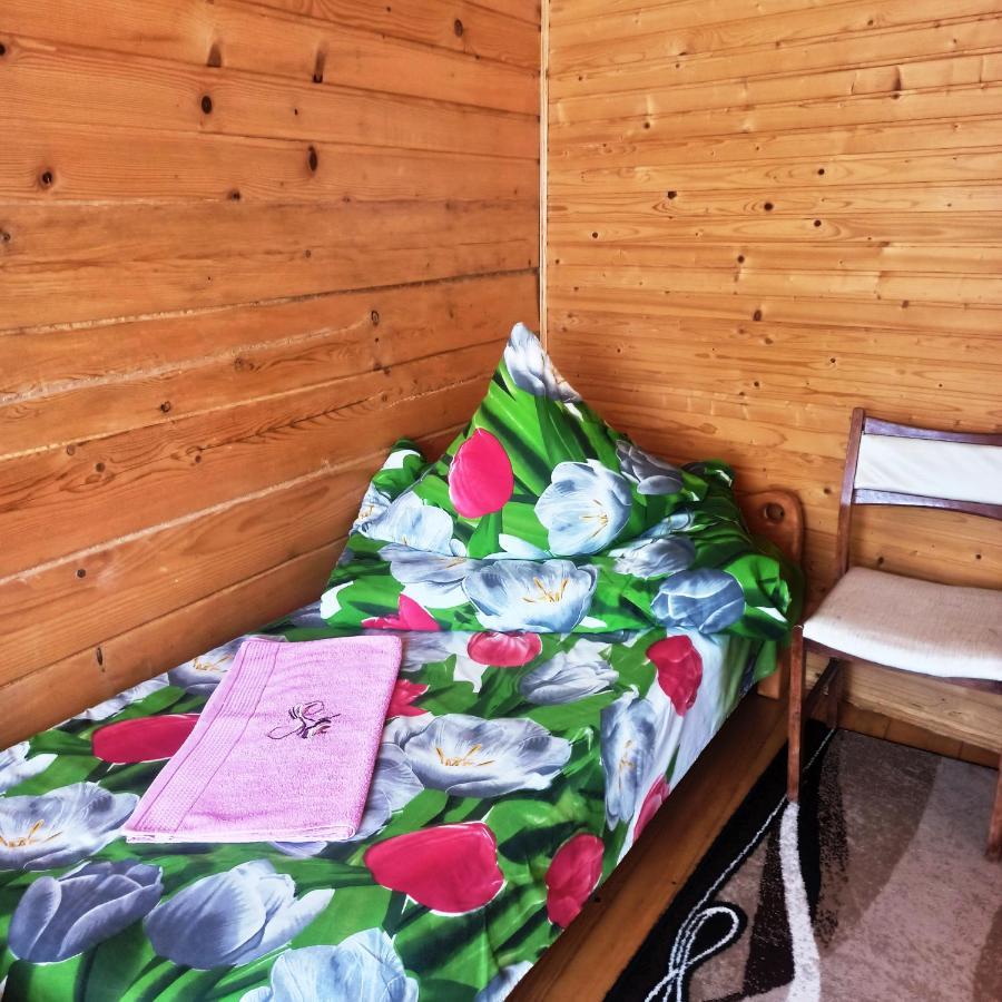 Садиба" У Василя" Volovets Extérieur photo