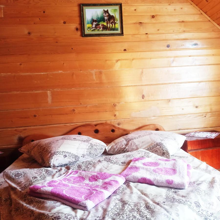 Садиба" У Василя" Volovets Extérieur photo